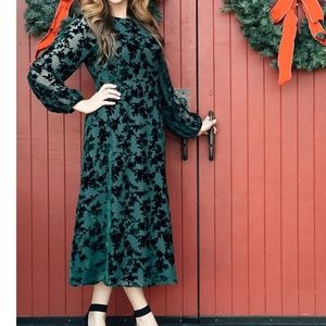NWT Polagram Green Velvet Dress